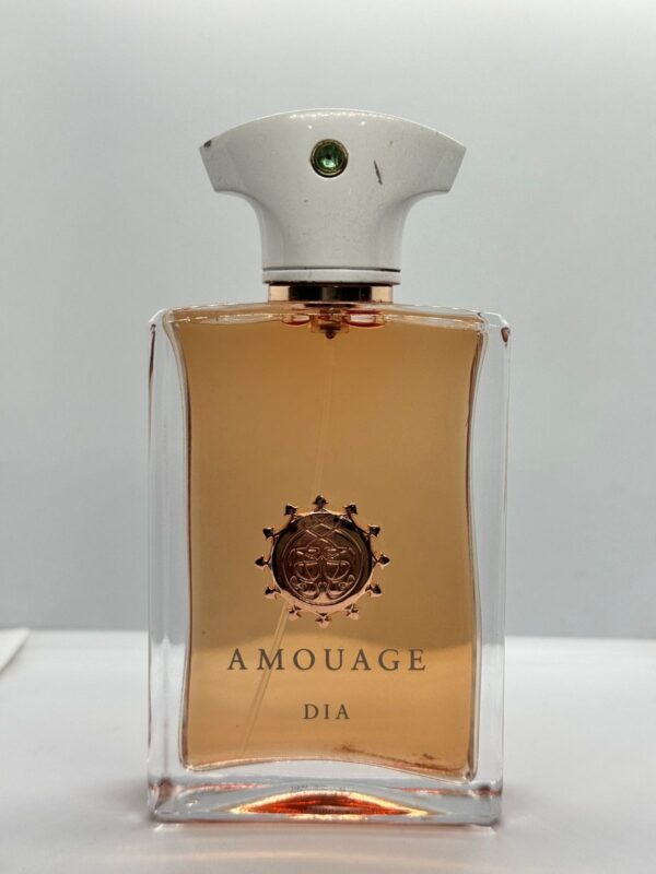 Amouage Dia – Eau de Parfum 100 ml
